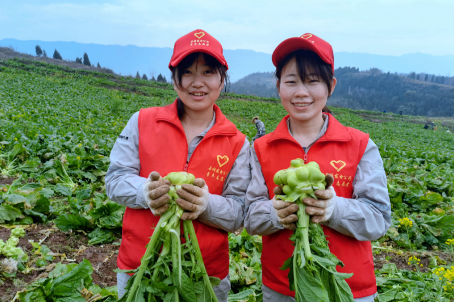 石柱發電公司 .png