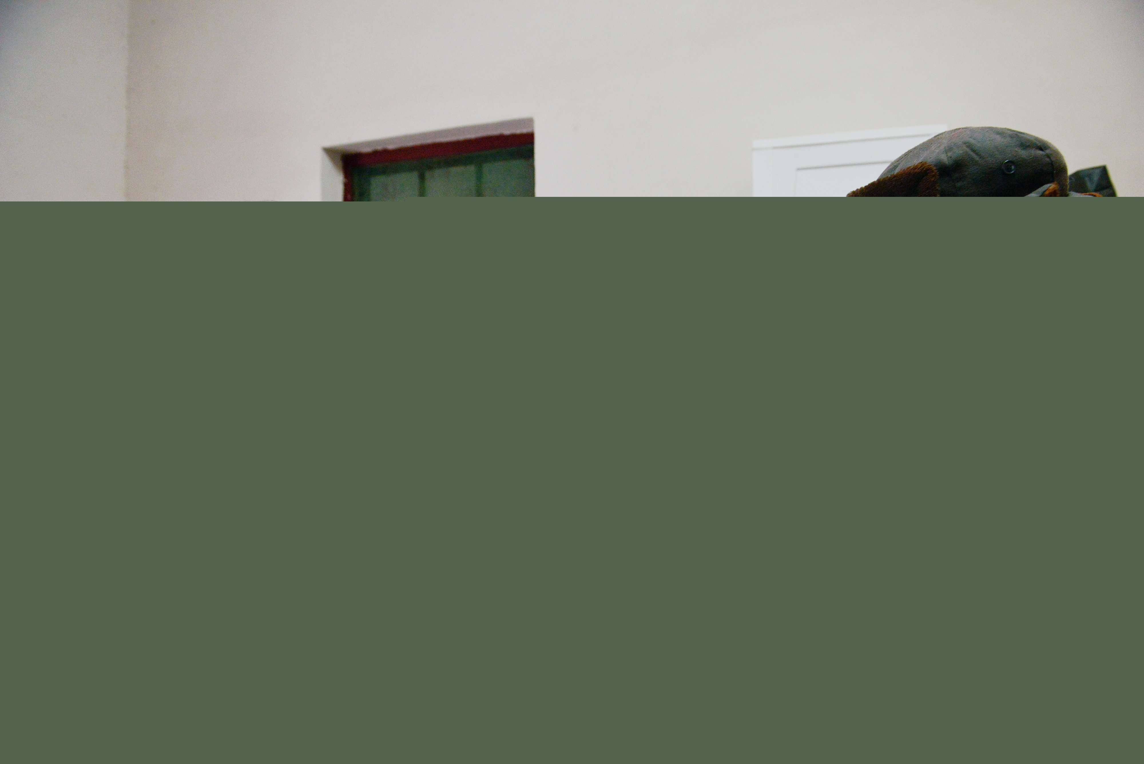 1709621496542054018.jpg 大唐南京發電廠.jpg