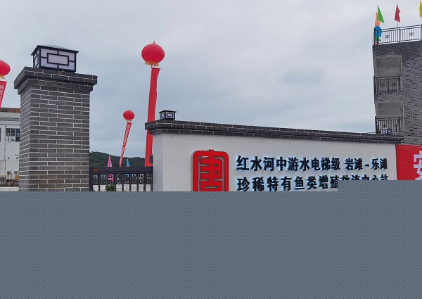 1626310228356030007.jpg 養(yǎng)魚2.jpg